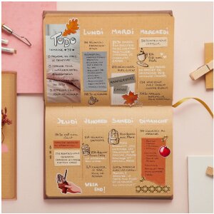 Quo Vadis Life Journal Dots Rosa chiaro 15x21cm Clairefontaine Carta Kraft Edition