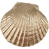 Clayre & Eef 65732 Pomello a conchiglia 6x4x6 cm Poliresina color oro