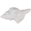 Clayre & Eef 65733 Pomello per porta a conchiglia bianco 10x5x6 cm stile vintage in poliresina