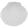 Clayre & Eef 65734 Pomello per porta a conchiglia in poliresina bianca 6x4x6 cm stile vintage