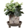 Clayre & Eef 6H2316 Ciotola decorativa in legno marrone Ø 22x7 cm Stile boemo