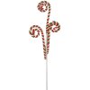 Clayre & Eef 65857 Decorazione Canna da zucchero 68 cm Rosso Verde Plastica