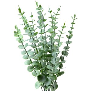 Clayre & Eef 6PL0278 Decorazione Ramo Verde 10x8x50...