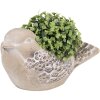 Clayre & Eef 6TE0541 Vaso da fiori Bird Beige Brown 25x14x14 cm Stile country