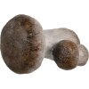 Clayre & Eef 6CE1767 Decorazione Funghi in ceramica marrone bianco 6x5x7 cm