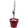 Clayre & Eef 6Y5626 Decorazione Lecca Lecca Rosso Bianco Metallo 12x9x26 cm