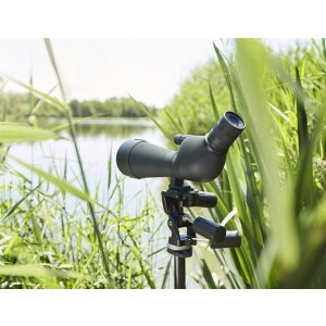 Cannocchiale Noblex NS 20-60x80 ED Inception