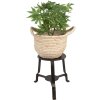 Clayre & Eef 6UNY0010 Tavolo per piante in ferro rotondo nero 18x18x22 cm Stile country