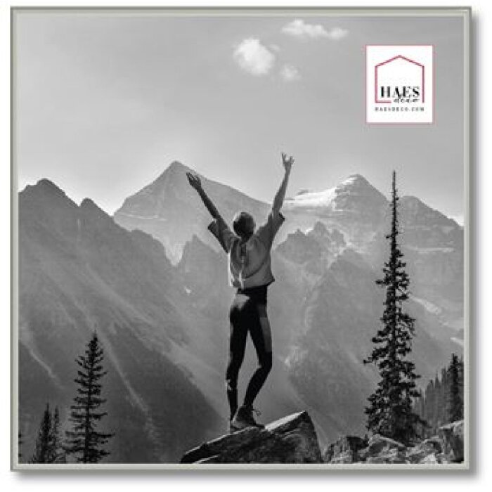 Haes Deco EF18S Easy Frame Cornice in plastica argento 50x50 cm