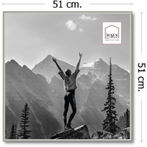 Haes Deco EF18S Easy Frame Cornice in plastica argento 50x50 cm