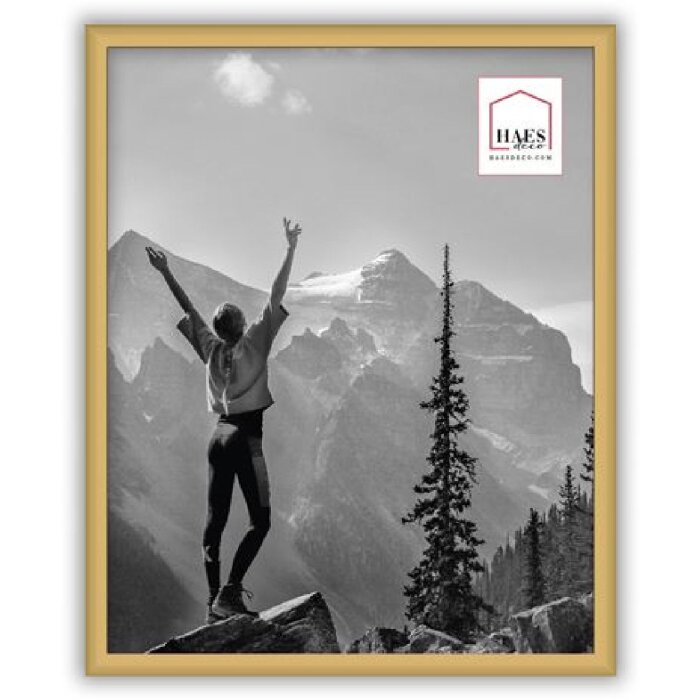 Haes Deco EF12G Easy Frame Cornice in plastica dorata 20x25 cm