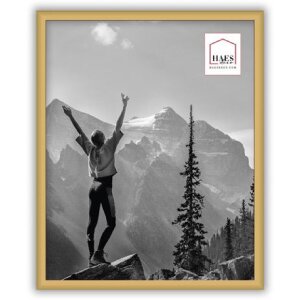 Haes Deco EF12G Easy Frame Cornice in plastica dorata...