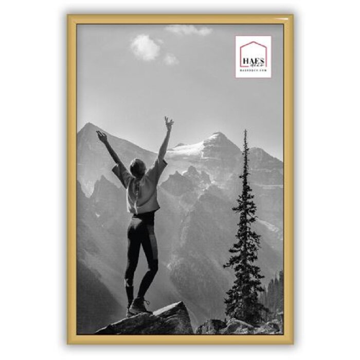Haes Deco EF4G Easy Frame Portafoto in plastica oro 20x30 cm