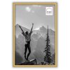 Haes Deco EF4G Easy Frame Portafoto in plastica oro 20x30 cm