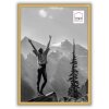 Haes Deco EF11G Easy Frame Oro A4 21x29,7 cm Cornice in plastica