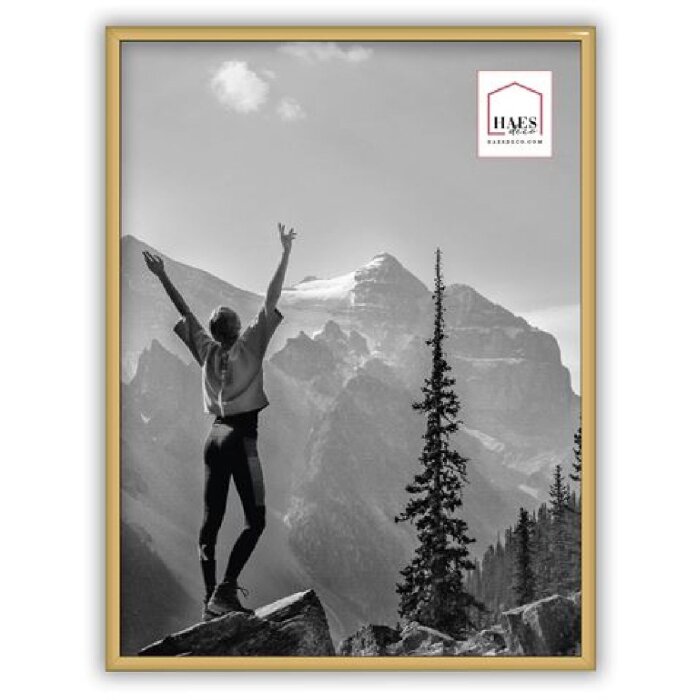 Portafoto in plastica Haes Deco Easy Frame Oro 30x40 cm
