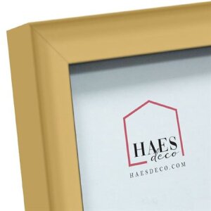 Portafoto in plastica Haes Deco Easy Frame Oro 30x40 cm