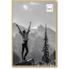 Cornice Haes Deco in plastica EF9G Easy Frame Gold 40x60 cm Pannello posteriore in MDF