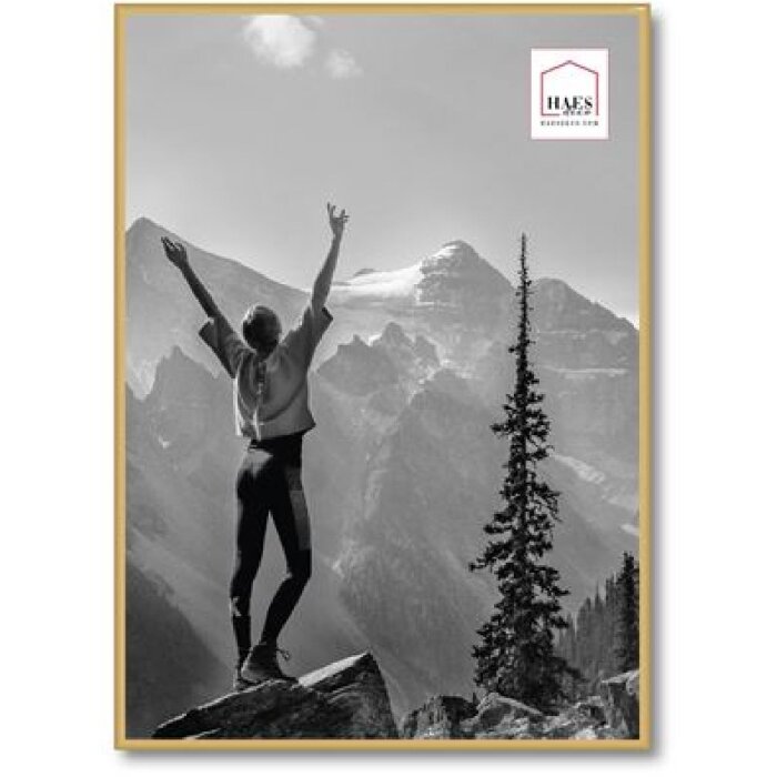 Haes Deco portafoto in plastica EF8G Easy Frame Gold 50x70 cm per montaggio a parete