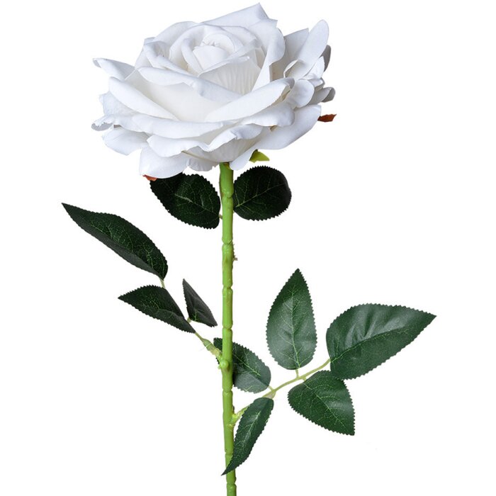 Clayre & Eef 5PL0106W Fiore Artificiale Rosa Bianco Verde Ø12x76 cm