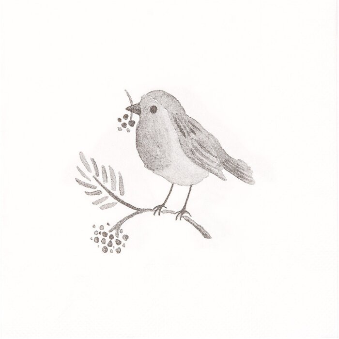 Clayre & Eef 73091 Tovaglioli di carta con motivo di uccelli 33x33 cm 20 pezzi