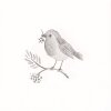 Clayre & Eef 73091 Tovaglioli di carta con motivo di uccelli 33x33 cm 20 pezzi