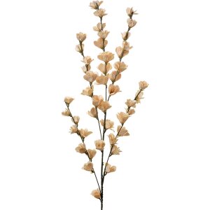 Clayre & Eef 5PL0115W Ramo decorativo con fiori Beige...
