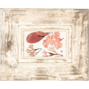 Clayre & Eef 2F1098 Cornice per foto Beige antico 24x3x29 cm per foto 10x15 cm