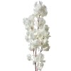 Clayre & Eef 5PL0118W Decorazione Ramo con Fiori Bianco 24x8x100 cm