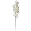 Clayre & Eef 5PL0118W Decorazione Ramo con Fiori Bianco 24x8x100 cm