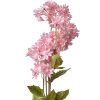 Clayre & Eef 5PL0125LP Decorazione Ramo con Fiori Rosa 17x9x72 cm