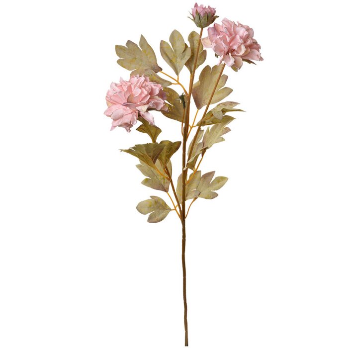Clayre & Eef 6PL0328P Decorazione Ramo con Fiori Rosa 9x9x68 cm