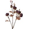 Clayre & Eef 6PL0330R Decorazione Ramo con Fiori Rosso Rustico 16x9x73 cm