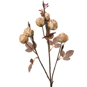 Clayre & Eef 6PL0330W Decorazione Ramo Fiori Beige...