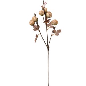 Clayre & Eef 6PL0330W Decorazione Ramo Fiori Beige...