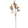 Clayre & Eef 6PL0330W Decorazione Ramo Fiori Beige Marrone 16x9x73 cm