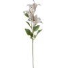 Clayre & Eef 6PL0337W Ramo decorativo Fiori Bianco Verde 15x10x72 cm