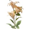 Clayre & Eef 6PL0337Y Decorazione Ramo Fiori Beige Verde 15x10x72 cm