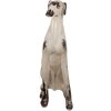 Clayre & Eef 5MG0048 Decorazione Cane Beige Marrone 37x24x79 cm