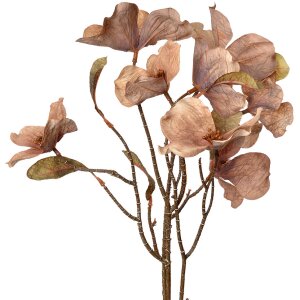 Clayre & Eef 5PL0112BE Fiore artificiale 12x8x72 cm