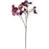 Clayre & Eef 5PL0113R Fiore artificiale viola 12x8x72 cm