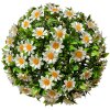 Clayre & Eef 6PL0324M Palla decorativa fiore artificiale margherita Ø 22 cm
