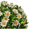 Clayre & Eef 6PL0324M Palla decorativa fiore artificiale margherita Ø 22 cm
