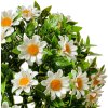 Clayre & Eef 6PL0324S Fiore artificiale decorativo a forma di margherita Ø 17 cm