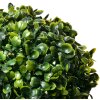 Clayre & Eef 6PL0325S Palla di bosso in plastica verde Ø 17 cm