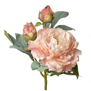 Clayre & Eef 6PL0332P Fiore artificiale Rosa 12x12x62 cm