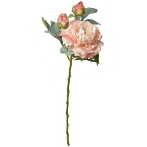 Clayre & Eef 6PL0332P Fiore artificiale Rosa 12x12x62 cm
