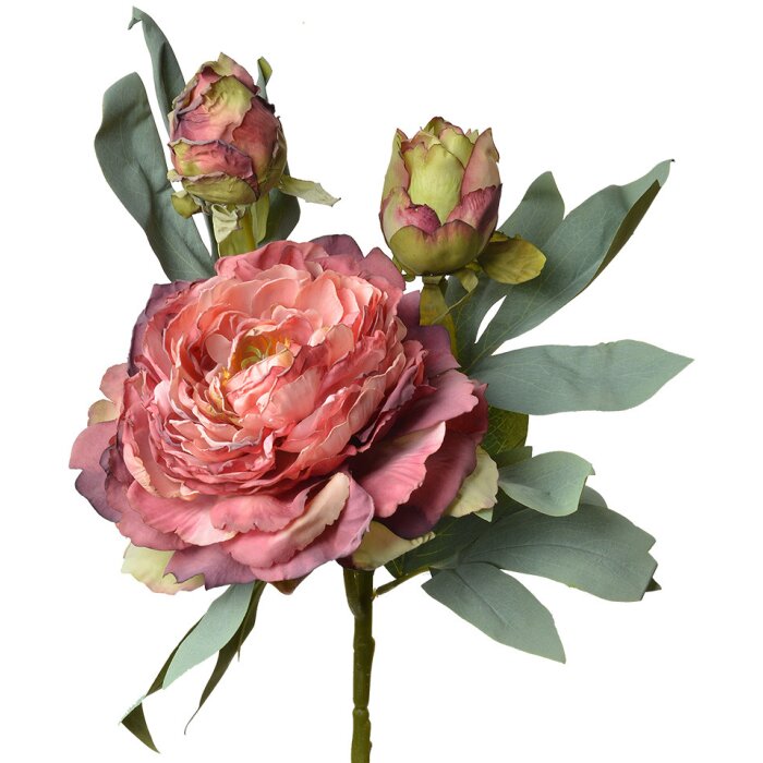 Clayre & Eef 6PL0332R Fiore Artificiale Rosa Rosso 12x12x62 cm