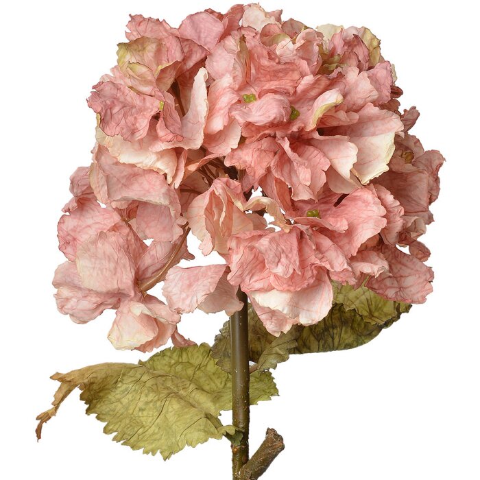 Clayre & Eef 6PL0333P Ramo decorativo con fiori rosa 10x10x55 cm