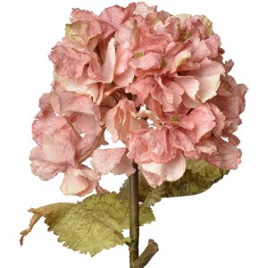 Clayre & Eef 6PL0333P Ramo decorativo con fiori rosa...